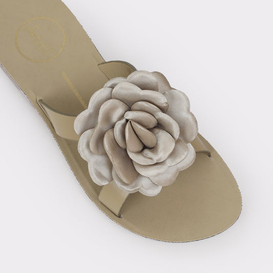Women Slipper