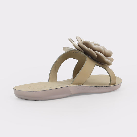 Women Slipper